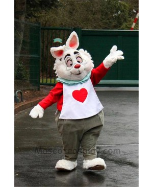 Easter Alice In Wonderland RABBIT Mascot Easter Bunny Costume