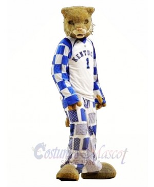 College Sport Wildcat Mascot Costume Free Shipping
