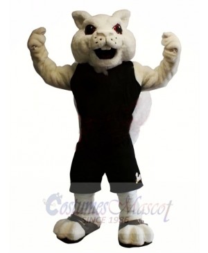 Squirrel mascot costume