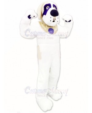 Lovely St. Bernard Dog Mascot Costume 