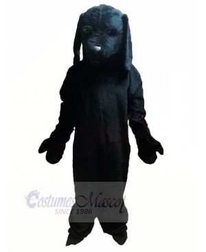 All Black Dog Mascot Costumes Animal