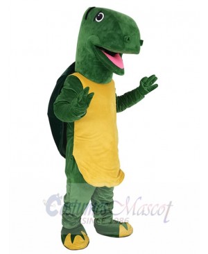 Tortoise mascot costume