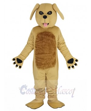 Dog mascot costume