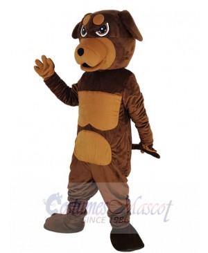 Rottweiler Dog mascot costume