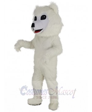 Samoyed Dog mascot costume