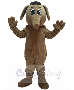 Cute Brown Comic Aardvark Mascot Costume