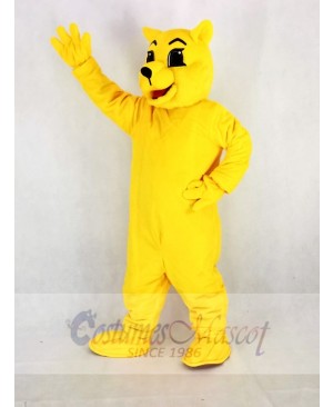 Yellow Wildcat Mascot Costume Cartoon	