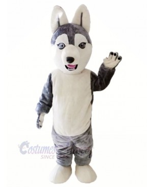 Cute Grey Siberian Husky Dog Mascot Costumes Animal