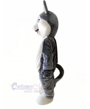 Cute Grey Siberian Husky Dog Mascot Costumes Animal