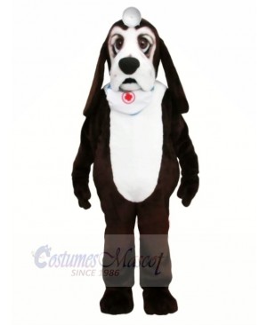 Basset Dog with White Scarf Mascot Costumes Animal