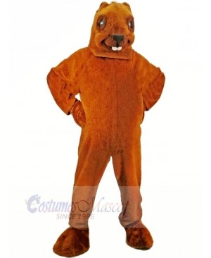 Brown Beaver Mascot Adult Costume	