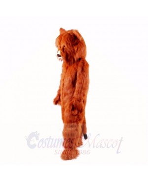 Grizzly Bear Lightweight Mascot Costumes Adult