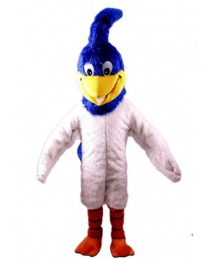 Roadrunner Mascot Costume