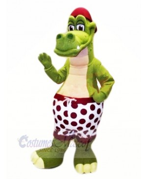 Best Quality Crocodile Mascot Costumes Animal
