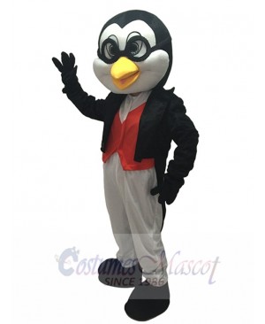 Cute Doctor Penguin in Black Tuxedo Adult Mascot Costume