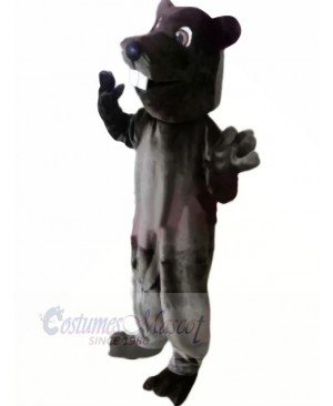 Black Leopard Mascot Costumes Animal