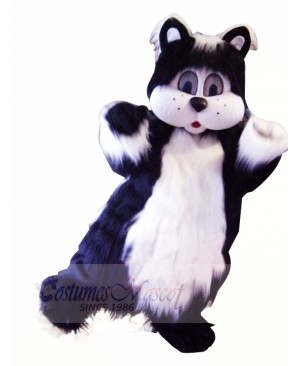 Black and White Cat with Big Eyes Mascot Costumes Animal