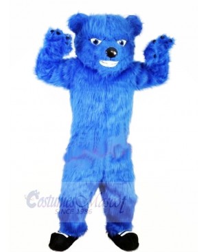 Bear Mascot Costume