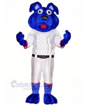 Blue Dog with White Suit Mascot Costumes Animal	