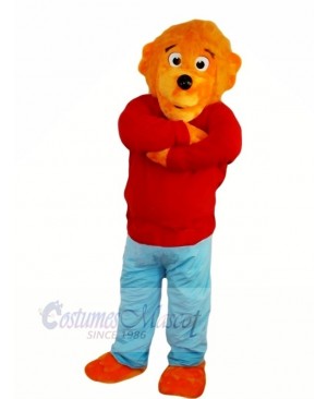 Funny Lion with Red Sweater Mascot Costumes Animal