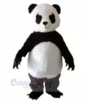 Panda with Long Eyelashes Mascot Costumes Animal