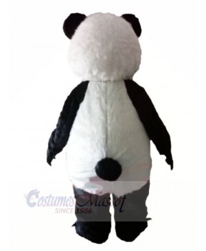 Panda with Long Eyelashes Mascot Costumes Animal