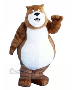 Fat Brown Bear Mascot Costumes Animal	