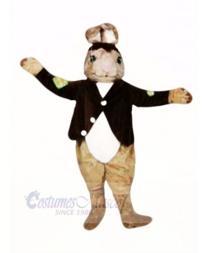 Brown Easter Bunny Mascot Costumes Animal
