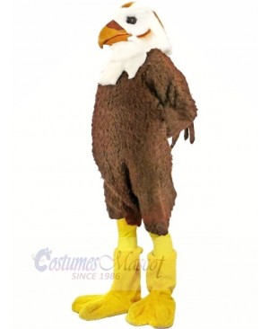 Strong Brown and White Hawk Mascot Costumes Animal