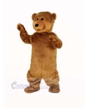 Fluffy Brown Bear Mascot Costume