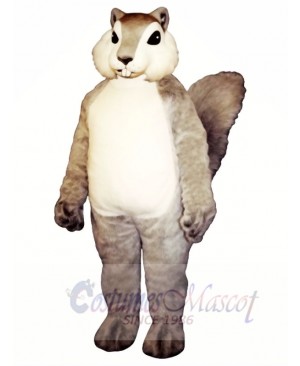 Grey Squirrel Mascot Costume