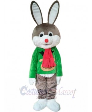 Bunny Rabbit mascot costume