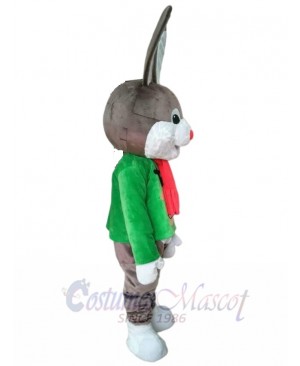 Bunny Rabbit mascot costume