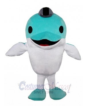 Dolphin mascot costume