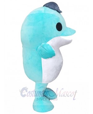 Dolphin mascot costume