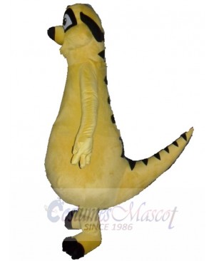 Meerkat mascot costume