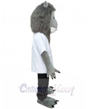 Lion mascot costume