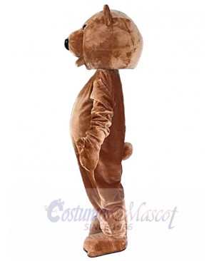 Bear mascot costume
