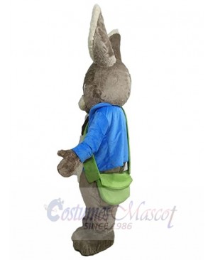 Easter Bunny Rabbit mascot costume