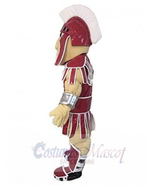 Knight mascot costume