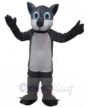 Wolf mascot costume
