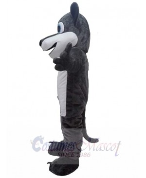 Wolf mascot costume