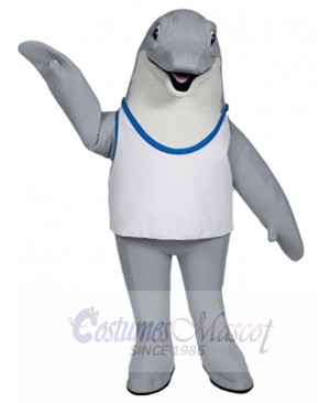 Dolphin mascot costume