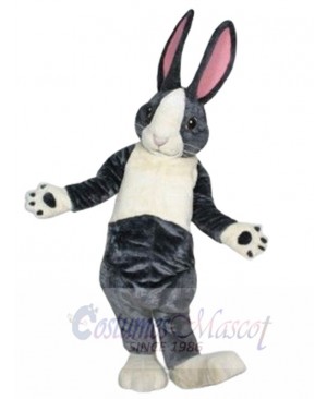 Bunny Rabbit mascot costume