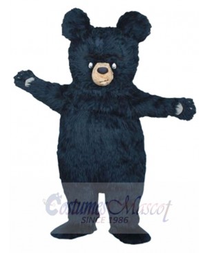 Bruce the Bear mascot costume