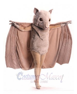 Stellaluna Bat mascot costume