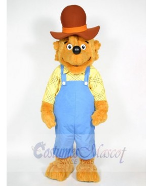 The Berenstain Bears Papa Bear mascot costume