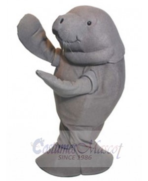 Manatee mascot costume