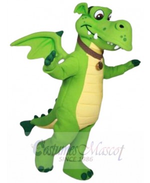 Frolic Dragon mascot costume