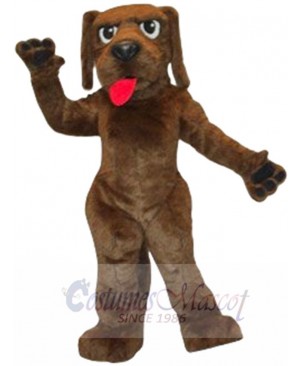 Hank Dog mascot costume